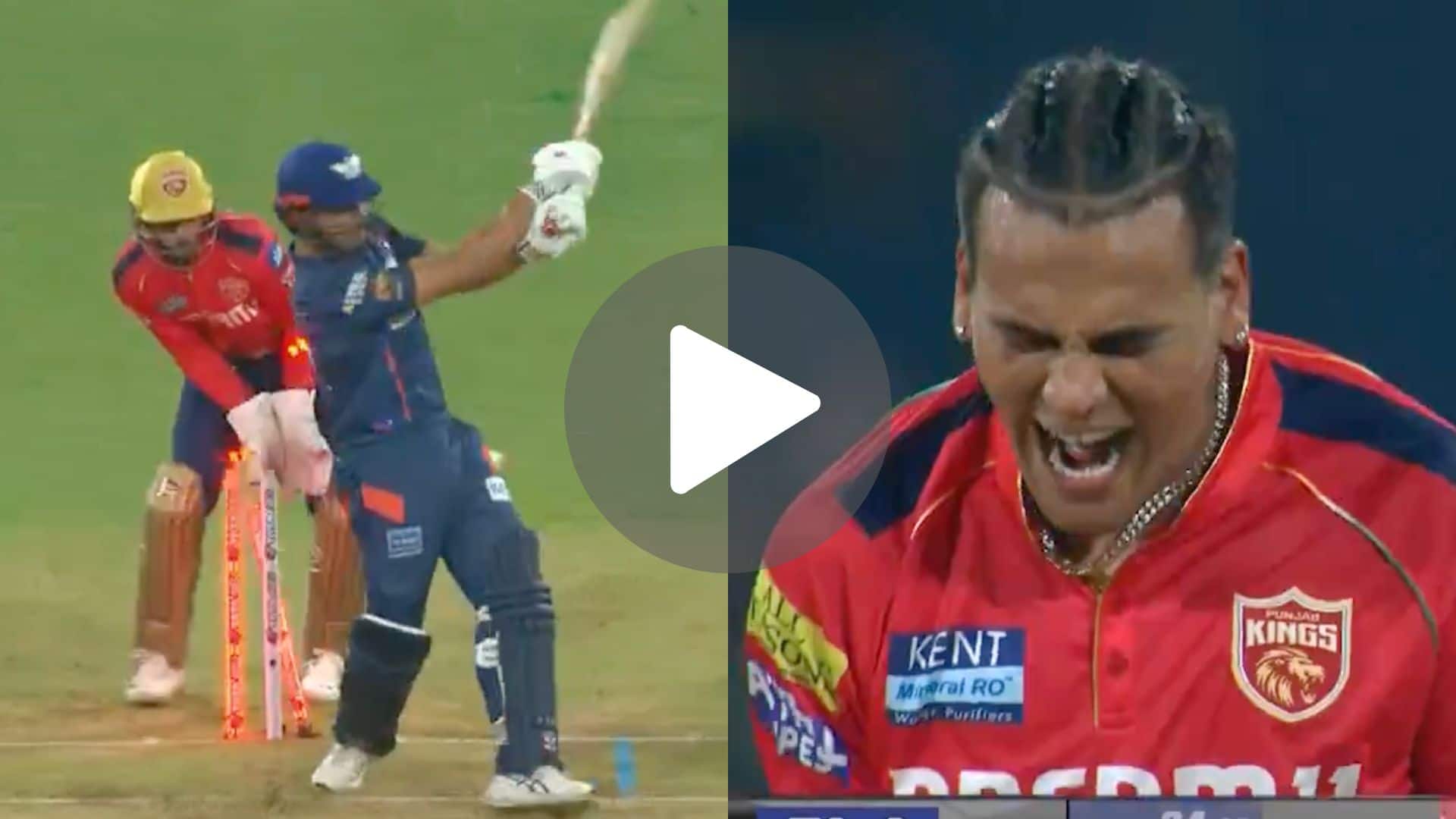 [Watch] Dhawan Elated On Chahar's Revengeful Celebration As He Castles Marcus Stoinis